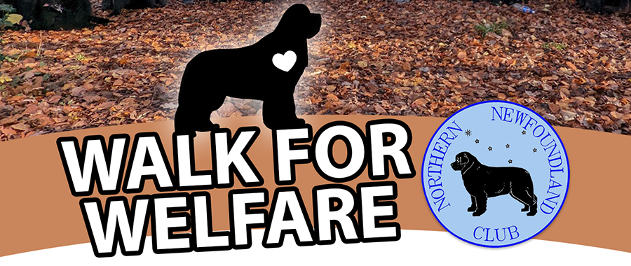 Walk For Welfare 2023